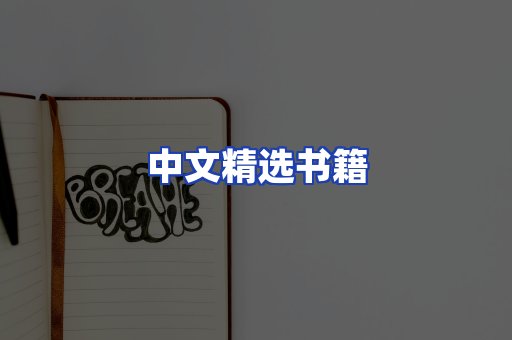 中文精选书籍